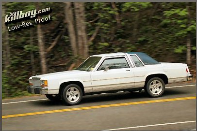 1985 Ford LTD Crown Victoria - A white two-door coupe with a blue vinyl roof drives down a tree-lined road.