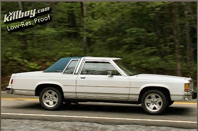 1985 Ford LTD Crown Victoria - A white coupe with a blue vinyl roof is seen from the side, driving on a road surrounded by trees.