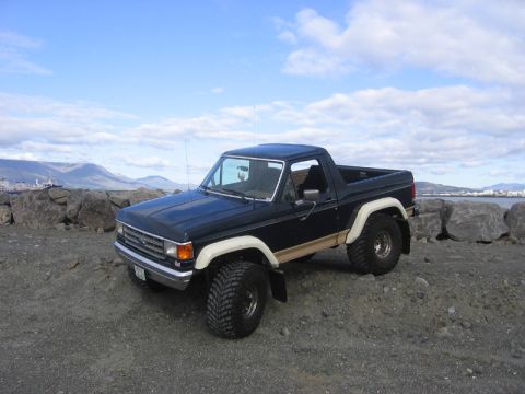 1989 Ford Bronco photo