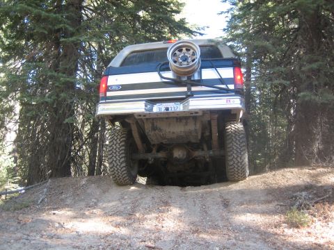 1995 Ford Bronco - Rear view of a 1995 Ford Bronco with a spare tire mounted on the back, navigating a dirt trail through trees.