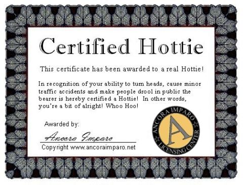 2004 Ford Mustang - This certificate, titled 'Certified Hottie', humorously acknowledges the recipient's ability to attract attention.