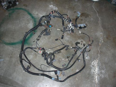 1998 Ford Crown Victoria - This is a complex automotive wiring harness, likely removed from a vehicle for repair or replacement.