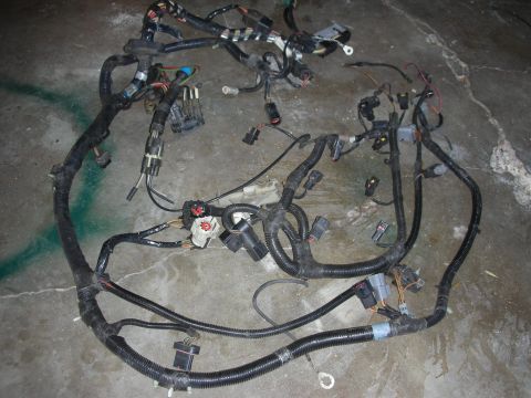 1998 Ford Crown Victoria - A complex automotive wiring harness is laid out on a concrete surface.