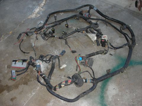 1998 Ford Crown Victoria - This is a complex automotive wiring harness, likely from an engine bay or dashboard, spread out on a concrete surface.