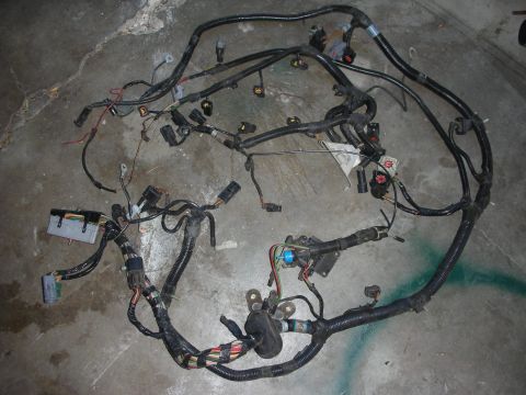 1998 Ford Crown Victoria - Engine wiring harness with multiple connectors and black protective sheathing.