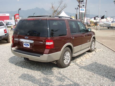 1995 Ford F-150 - This Ford Expedition is parked outdoors with a gravel lot and mountains visible in the background.