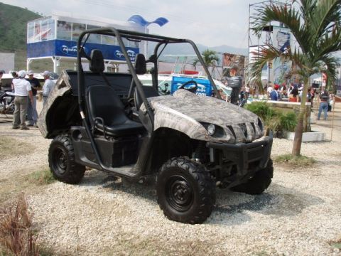 1995 Ford F-150 - This utility vehicle has a camouflage pattern on its hood and fenders, with black seats and a roll cage.