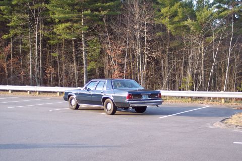 2001 Ford Crown Victoria - Driver's-side rear three-quarter view of a dark green boxy Ford LTD Crown Victoria sedan parked across the stalls of an empty asphalt lot,…