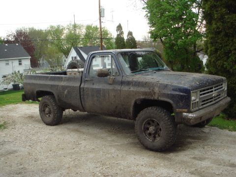 1978 Chevrolet C/K Pickup - my lil stocker... And, yes, it can swim!