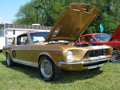 1998 Ford Crown Victoria - A gold 1967 Ford Mustang GT350 is displayed with its hood open, parked on grass next to a red car.