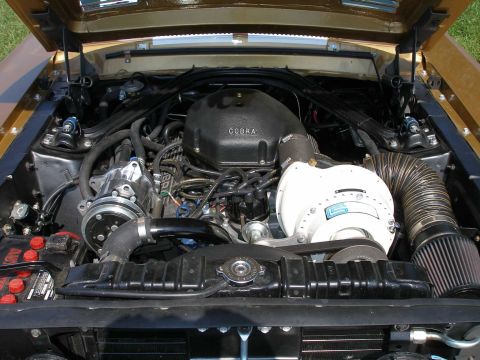 1998 Ford Crown Victoria - Engine bay features a "COBRA" intake manifold and a prominent supercharger.