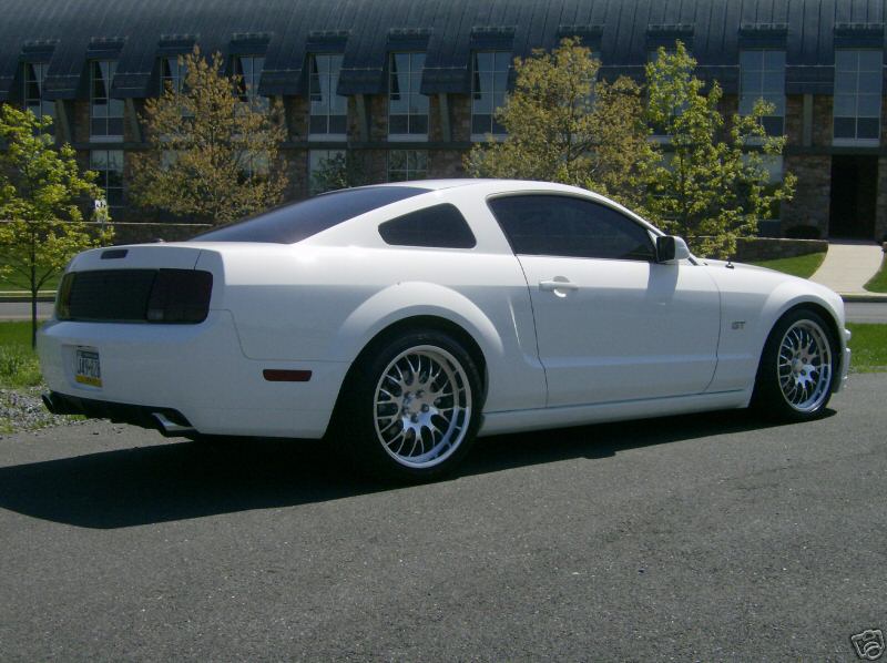 White Mustang GT coupe from the rear three-quarter, lowered on polished wheels