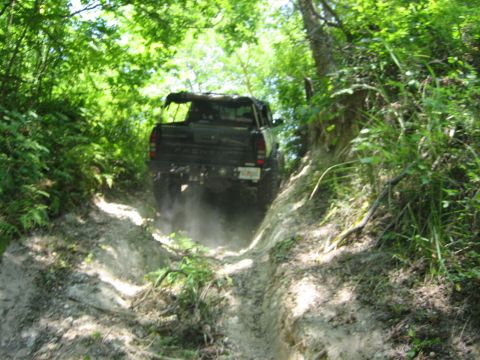 1989 Ford Bronco - A dark SUV navigates a challenging off-road path surrounded by dense foliage.
