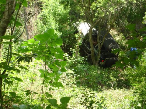 1989 Ford Bronco - A dark SUV is seen off the beaten path, surrounded by dense green foliage and trees.