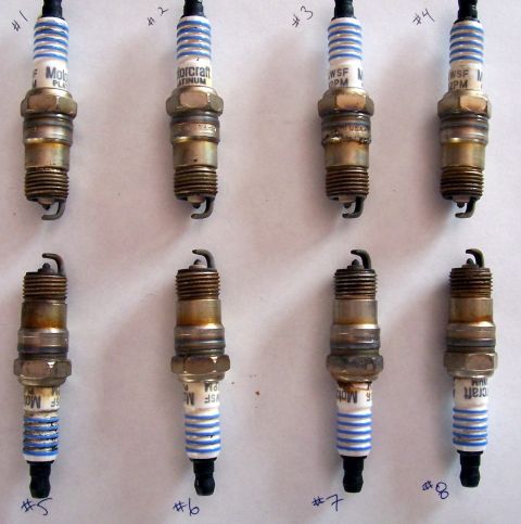 2002 Ford Mustang - Eight Motorcraft Platinum spark plugs are laid out and labeled with numbers.