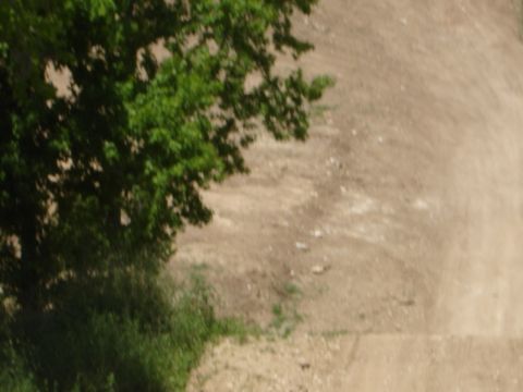 1989 Ford Bronco - A dirt road is visible with trees on the left and a watermark at the bottom right.