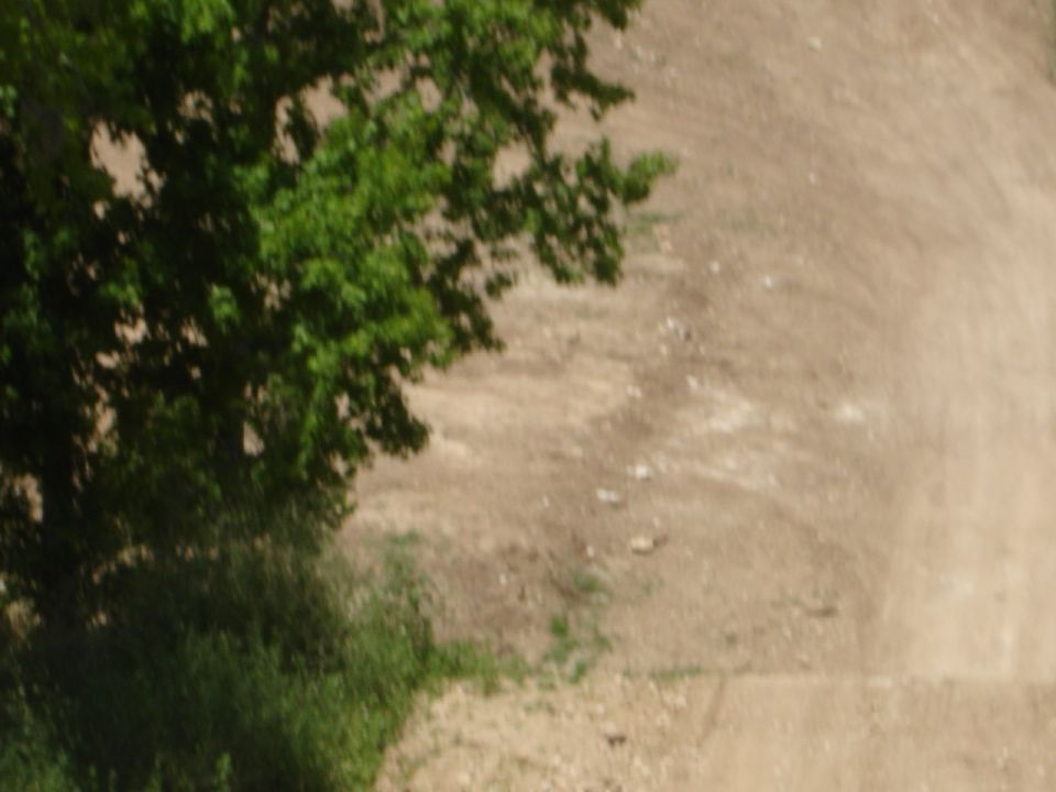 Dirt road with trees and a watermark