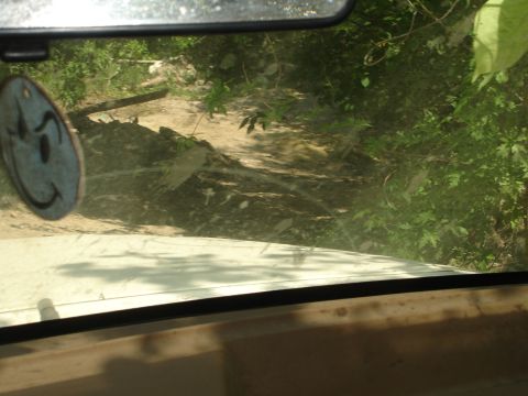 1989 Ford Bronco - The view from the driver's seat shows a rough trail ahead, with a smiley face air freshener visible.