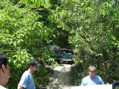 1989 Ford Bronco - Off-road vehicles navigate a wooded trail on a sunny day.