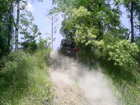 1989 Ford Bronco - An off-road vehicle navigates a dusty, wooded path, creating a cloud of dust.