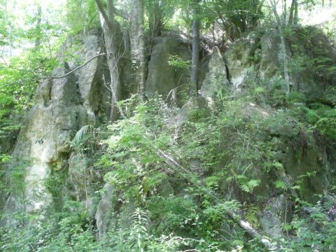 1989 Ford Bronco - A natural scene of a rocky outcrop surrounded by dense vegetation and trees.