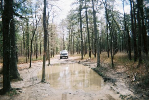 1989 Ford Bronco - 1989 Ford Bronco navigating a water-filled dirt path in a wooded area.