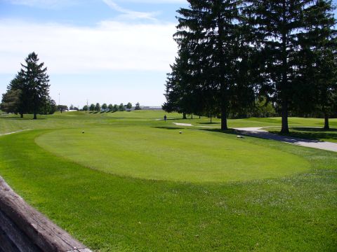 1991 Ford Probe - A scenic view of a golf course on a sunny day.