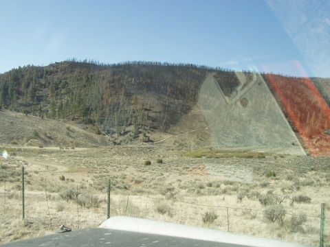 1967 Ford Bronco - A landscape scene shows a hill with burnt trees and sparse vegetation, with a fence in the foreground.