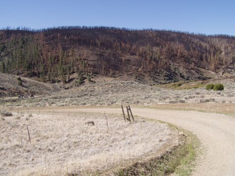 1967 Ford Bronco - A landscape scene shows a burnt forest on a hillside with a dirt road and dry vegetation in the foreground.