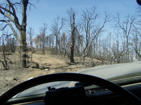 1967 Ford Bronco - The aftermath of a fire is visible as the vehicle navigates a dirt road through a desolate landscape.