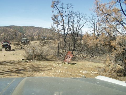 1967 Ford Bronco - Several off-road vehicles navigate a landscape dotted with burnt trees and sparse vegetation.