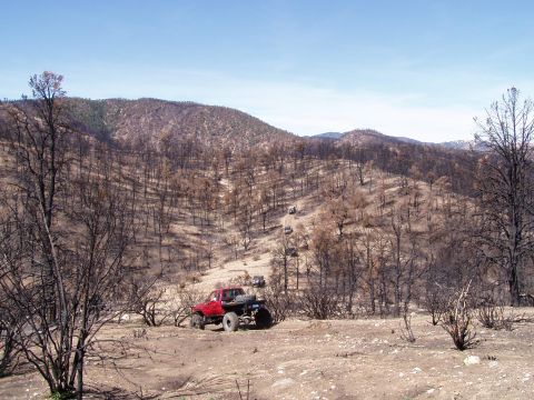 1967 Ford Bronco - Several off-road vehicles navigate a dirt path in a landscape recovering from a wildfire.