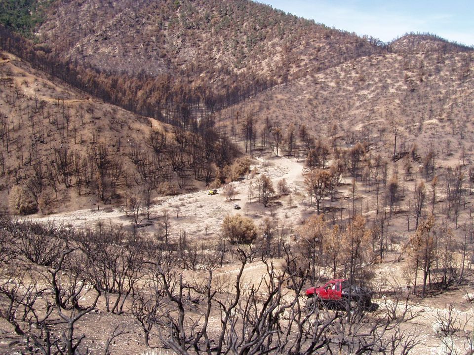 Red off-road vehicle and yellow ATVs on a dirt road in a landscape with burnt trees