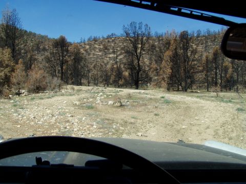 1967 Ford Bronco - View from inside a vehicle as it travels through a dry, rocky landscape dotted with burnt trees.