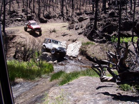 1967 Ford Bronco - Two off-road vehicles traverse a challenging path through a burnt forest landscape.