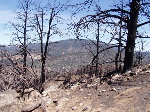 1967 Ford Bronco - The aftermath of a wildfire is visible with charred trees and a desolate landscape.