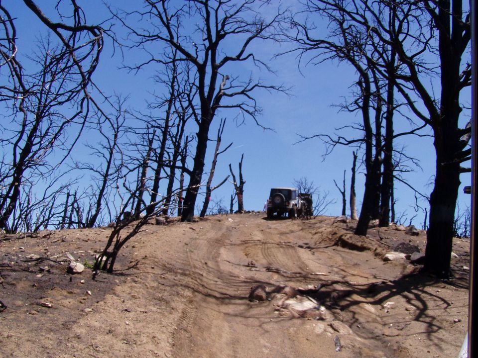 Gray Jeep CJ-5 on a dirt road with burnt trees