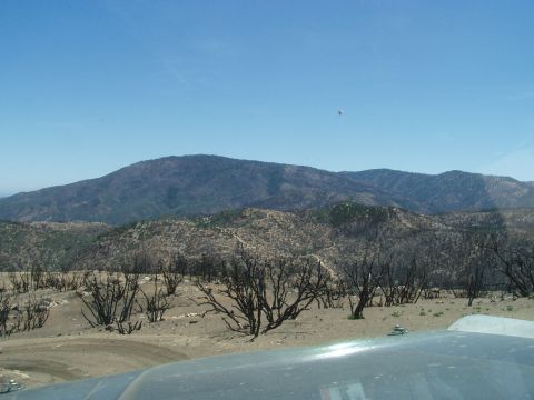 1967 Ford Bronco - A burnt landscape with mountains and dead trees, seen from inside a vehicle.