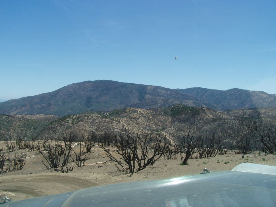 View of a burnt landscape with dead trees and mountains under a clear blue sky. Part of a vehicle's dashboard is visible in the foreground