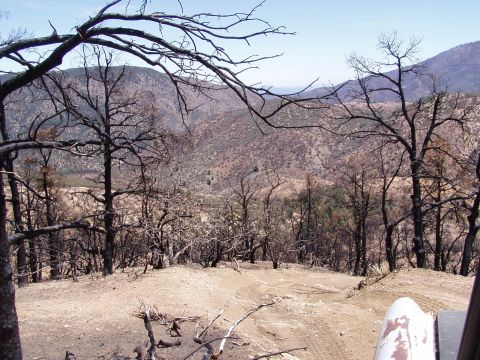 1967 Ford Bronco - The aftermath of a fire shows a desolate landscape with hills in the background and burnt trees in the foreground.