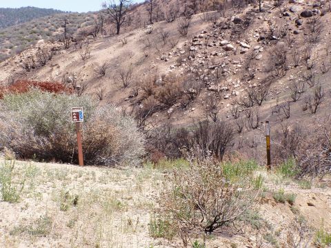 1967 Ford Bronco - Signs mark a trail in a landscape recovering from a fire, with evidence of past vegetation and scorched earth.