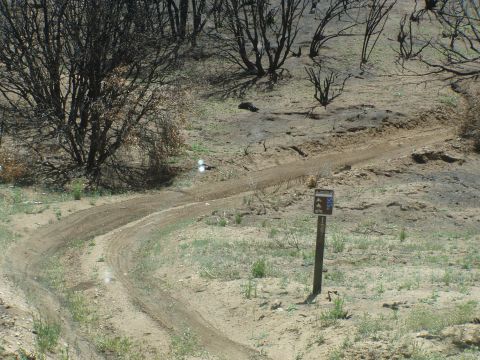 1967 Ford Bronco - A dirt road winds through a desolate, post-fire landscape with a trail marker sign.