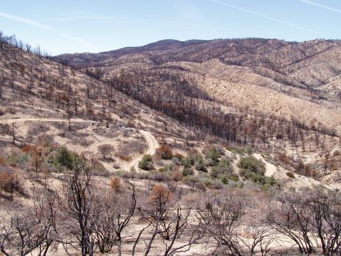 1967 Ford Bronco - A desolate scene of hillsides scarred by fire, with a winding dirt road providing the only sign of human passage.