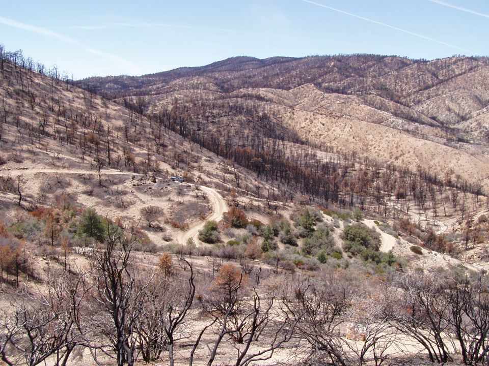 Burned landscape with a dirt road winding through hills
