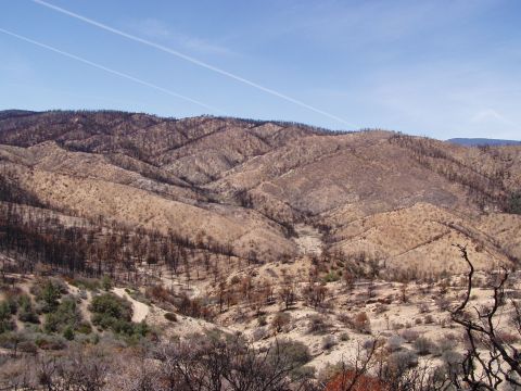 1967 Ford Bronco - Landscape photo showing hills after a fire, with a watermark at the bottom right.
