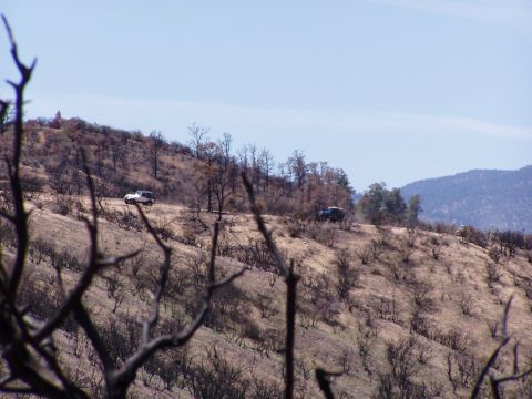 1967 Ford Bronco - Two SUVs navigate a dusty, arid hillside under a clear blue sky, with dry brush and scattered trees dotting the landscape.