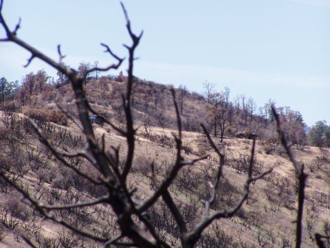 1967 Ford Bronco - Two vehicles are visible on a hillside with sparse trees and dry brush.