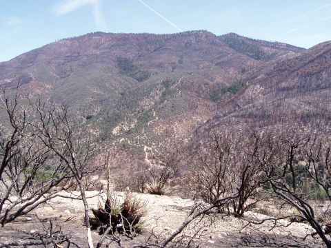 1967 Ford Bronco - The aftermath of a wildfire is visible on the mountainside, with charred trees in the foreground.