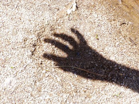 1967 Ford Bronco - A shadow of a hand is cast upon a gravelly surface, with a website address visible in the lower right corner.