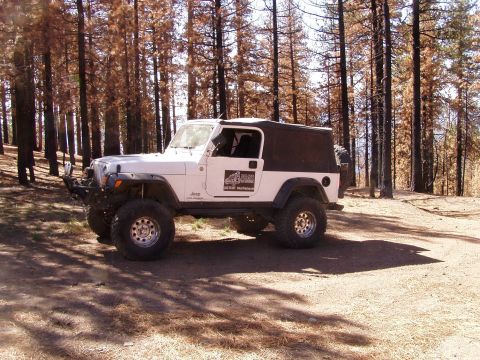 1967 Ford Bronco - A white Jeep Wrangler with a black soft top is parked on a dirt road in a forest with burnt trees.